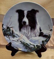 Kutyás porcelán tányér, Border collie dísztányér 1 (M5479)