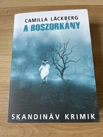 Camilla Läckberg: A boszorkány