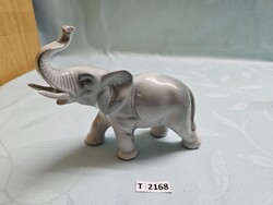 T2168 Porcelán elefánt