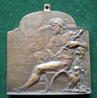 Ifjabb Vastagh György: XVI. Nemzetközi Orvosi Kongresszus résztvevői érem, 1909, Budapest