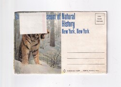 R:34  Museum of Natural History New York boríték leporelló képeslap "Posta tiszta"