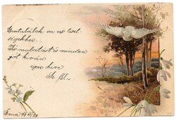 Képeslap: Madarak, virágok. 1899.