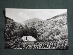 Képeslap,Sátoraljaújhely,Tokaji borvidék látkép részlet, 1959-