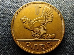 Írország tyúk csibékkel 1 Pingin 1966