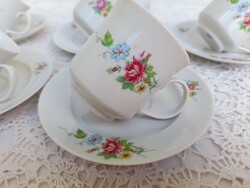 Alfoldi porcelan kaveskeszlet