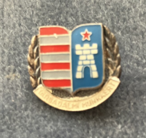 Társadalmi munkáért - jelvény