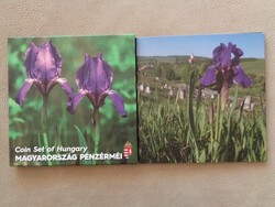 2019 MAGYAR NŐSZIROM FORGALMI SOR BU