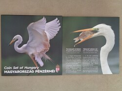 2018 NAGY KÓCSAG FORGALMI SOR BU