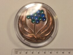 50 éves a Monor és Vidéke Takarékszövetkezet jubileumi plakett (zománcozott)