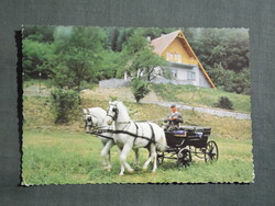 Képeslap,Szilvásvárad,Szalajka völgy,Lipicai kettes fogat látkép,részlet, 1976-