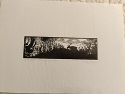 Kisgyörgy Tamás, Szarvasbőgés