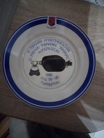 Hollóházi porcelán falitányér. 24 cm. Nyíregyháza. Hibátlan. Jelzett