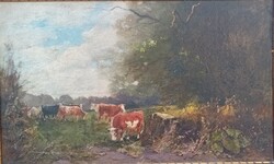 Edvi Illés Aladár / 1870-1958 / fetmény