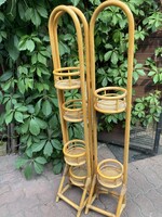 Rattan viragallvany