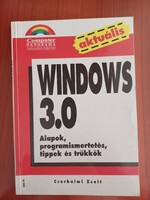 Windows 3.0 - számítástechnikai "történelem"