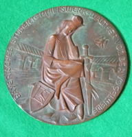 Walther Von Der Vogelweide (1170-12309 )német költőt ábrázoló ,Bajor diákszövetség bronzplakett