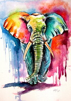 Colorful elephant Vii   watercolor painting - Színes elefánt VII - akvarell festmény