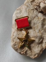 Szovjetunió Hőse,Kitüntetés