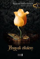 Angyali oltalom - Angyali szerelem 2. - Elizabeth Chandler