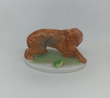 Herendi porcelán kutya békával "Ritka"!