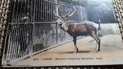 Antik képeslap. Franciaország- Párizs.