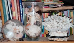 Eladó hagyatékból gyűjtőknek nagyon szép tengeri kagyló-csiga korall lámpa gyűjtemény