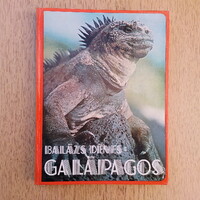 Balázs Dénes - Galápagos