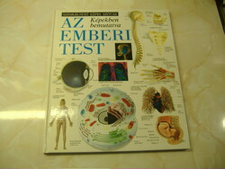 SZEMLÉLTETŐ KÉPES SZÓTÁR AZ EMBERI TEST Képekben bemutatva, 1993