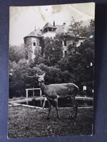 Régi képeslap Kőkapu Erdészeti Üdülő  Pálháza pecséttel1959