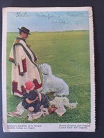 Régi grafikus képeslap - Pásztor, kuvasz, puli és kislány - Üdvözlet Magyarországról - MEFHOSZ 1939