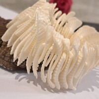 Gyöngyház  karkötő  4  cm-es