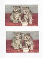 ÁK:87 Állatok-humor-gyerekek üdvözlő képeslap "Postatiszta"