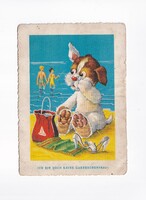 ÁK:88 Állatok-humor-gyerekek üdvözlő képeslap "Sérült hátul"