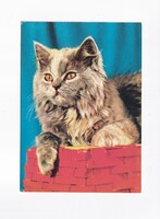 ÁK:87 Állatok-humor-gyerekek üdvözlő képeslap "Postatiszta"