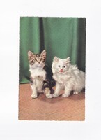 ÁK:87 Állatok-humor-gyerekek üdvözlő képeslap "Postatiszta"