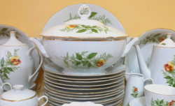 Haas&Czjzek csehszlovák 6 személyes komplett étkészlet