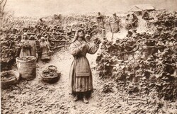 Képeslap: Vallás.
