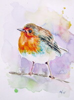 Robin-  watercolor painting - Vörösbegy -  akvarell festmény