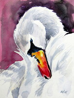 Swan -   watercolor painting - Hattyú -  akvarell festmény