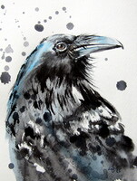 Crow II -  watercolor painting Varjú II -  akvarell festmény