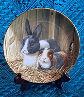 Nyuszis és tengerimalacos porcelán tányér, ritka RSPCA dísztányér 2 (M5606)
