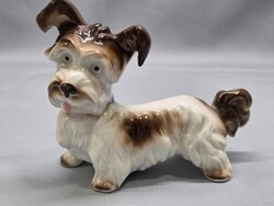 ENS kutya, terrier