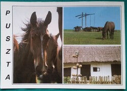 Hortobágy, ló, gémeskút, csikós, tanya, postatiszta képeslap, 1991, Fotó: Pál Huber