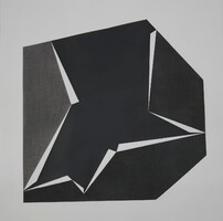 Fábián Zoltán: DE-UB VI. - 50979