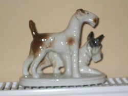 NÉMET FOXTERRIER KUTYA PÁR.