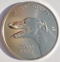 Magyar agár 2021 - 2000 Forint