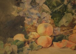 Gerhardt Alajos (1837-1889) - Csendélet