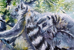Ring tailed lemur -  watercolor painting - Gyűrűsfarkú maki-  akvarell festmény