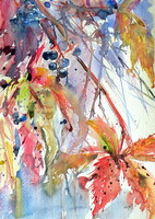 Wildgrapes-  watercolor painting - Vadszőlő -  akvarell festmény