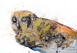 Owl in gold-  watercolor painting - Bagoly aranyban  akvarell festmény